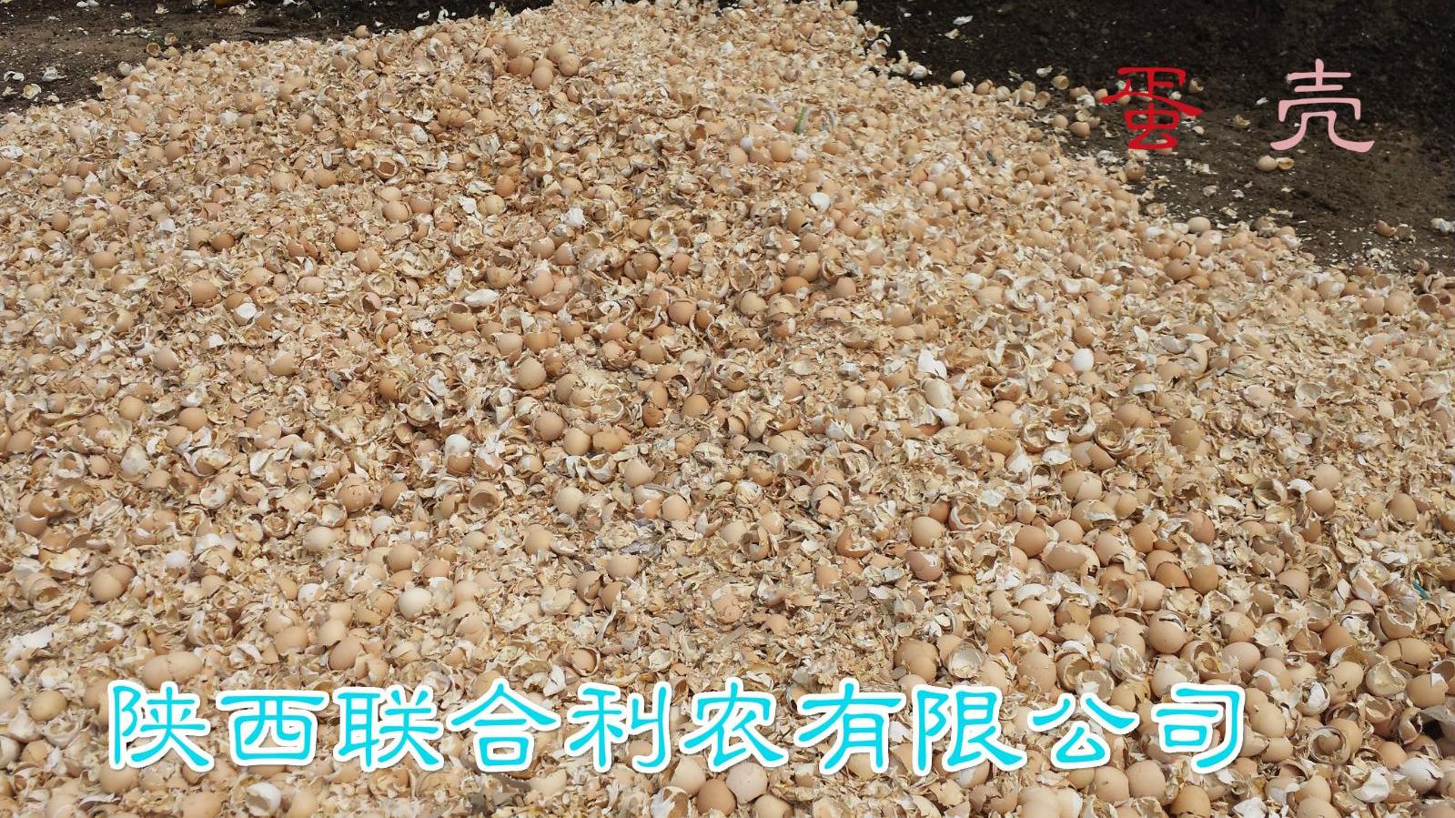 铔嬪3.jpg 铔嬪3.jpg